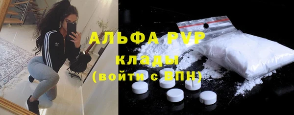 мяу мяу мука Михайлов