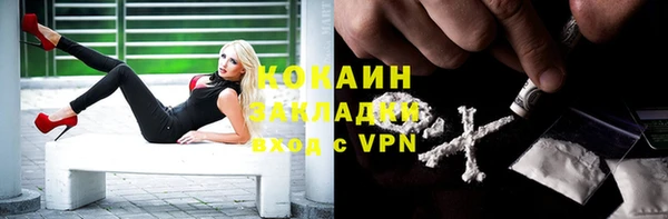 мяу мяу мука Михайлов