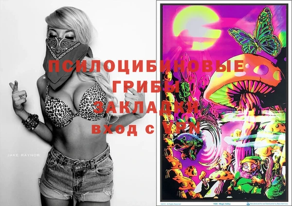мяу мяу мука Михайлов