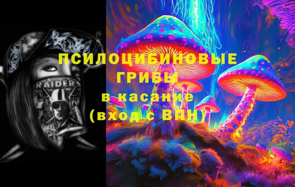 Альфа ПВП Вяземский