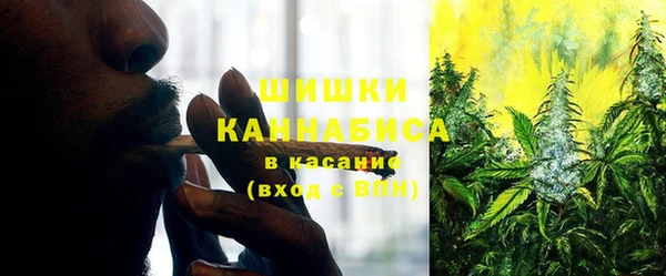 мяу мяу мука Михайлов