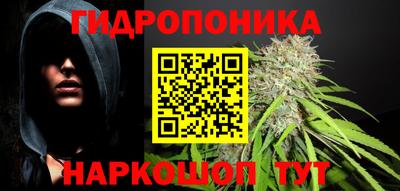 мдпв Гусь-Хрустальный