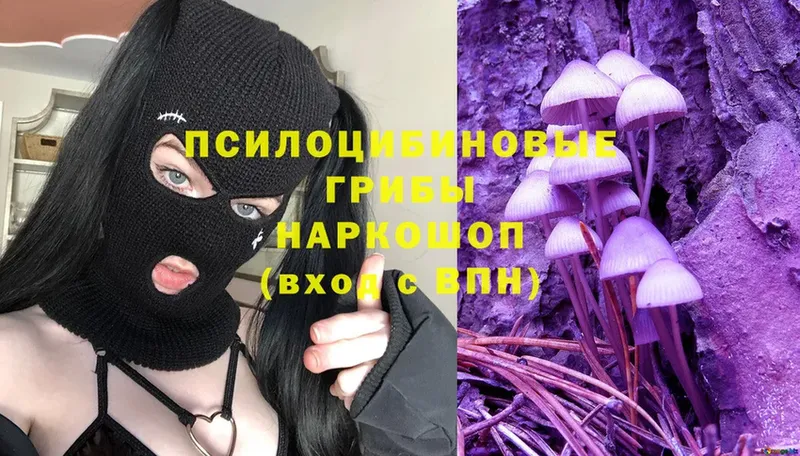 Псилоцибиновые грибы Magic Shrooms Карталы